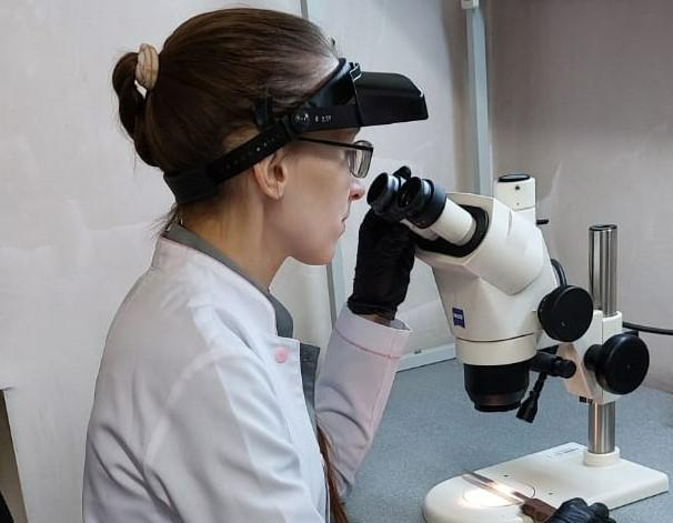 Forensic medical examination