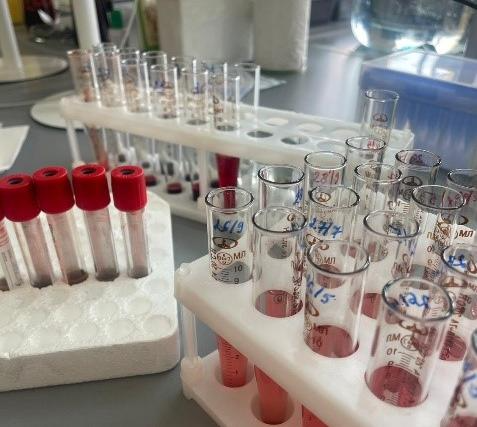 Биомедицина (ғылыми-педагогикалық бағыт)