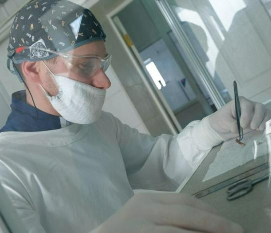 Pathological anatomy