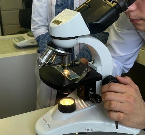 Биолог-исследователь (научно-педагогическое направление)