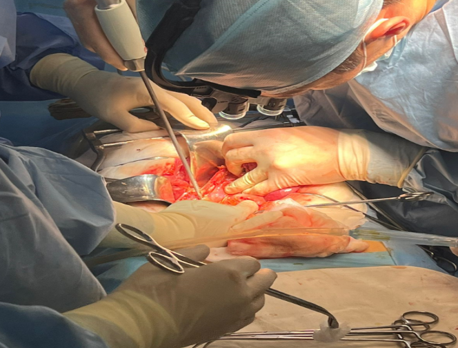 Онкология (взрослая)