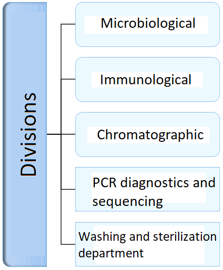Подразделения лаборатории
